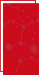 青島聯發食品科技有限公司 青島聯發食品科技有限公司